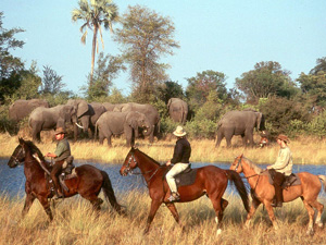 randonnée à cheval Botswana Okavango photo 6