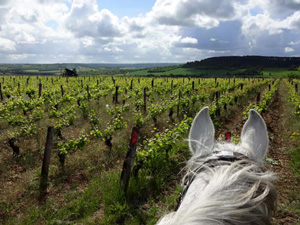 randonnée à cheval France Bourgogne photo 4