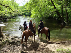 randonnée à cheval France Bourgogne photo 2