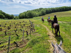 randonnée à cheval France Bourgogne photo 2