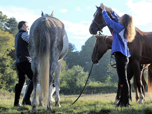 randonnée à cheval France Bourgogne photo 4