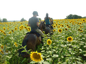 randonnée à cheval Bulgarie Centre photo 5