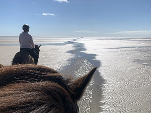 randonnée à cheval Canada Québec photo 1