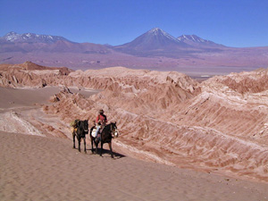 randonnée à cheval Chili Atacama photo 3