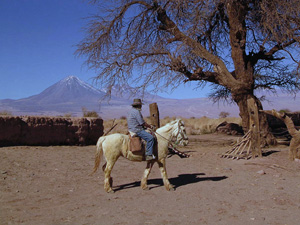 randonnée à cheval Chili Atacama photo 4