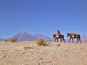 randonnée à cheval Chili Atacama photo 7