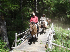 randonnée à cheval Chili Patagonie photo 2