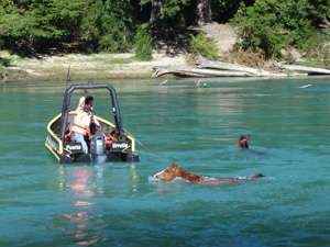 randonnée à cheval Chili Patagonie photo 6