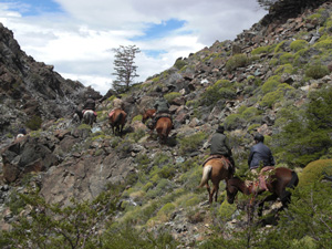 randonnée à cheval Chili Patagonie photo 2