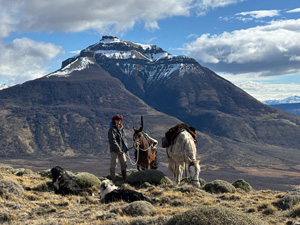 randonnée à cheval Chili Patagonie photo 2