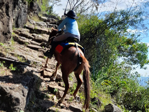 randonnée à cheval Colombie Santander photo 2