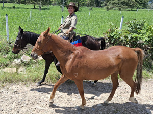 randonnée à cheval Colombie Risaralda photo 4