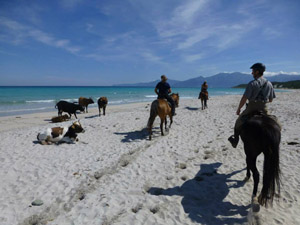 randonnée à cheval France Corse photo 3