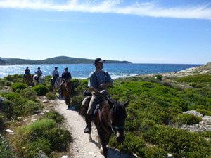 randonnée à cheval France Corse photo 4