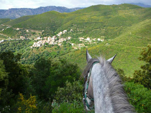 randonnée à cheval France Corse photo 5