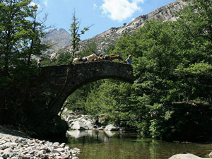 randonnée à cheval France Corse photo 2