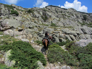 randonnée à cheval France Corse photo 5