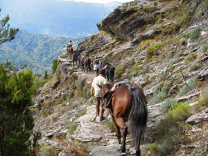randonnée à cheval France Corse photo 2
