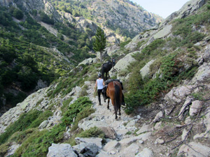 randonnée à cheval France Corse photo 4