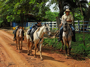 randonnée à cheval Costa Rica Alajuela photo 5