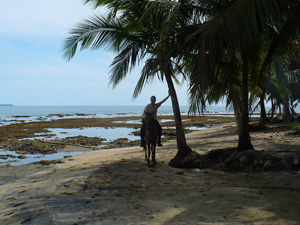 randonnée à cheval Costa Rica  photo 1