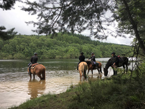 randonnée à cheval France Centre-Val de Loire photo 3