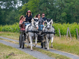 randonnée à cheval france centre-val de loire en calèche au pays de rabelais