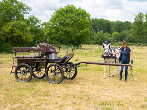 randonnée à cheval France Centre-Val de Loire photo 2