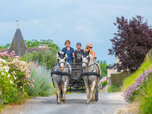 randonnée à cheval France Centre-Val de Loire photo 3