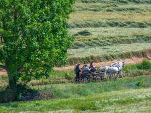 randonnée à cheval France Centre-Val de Loire photo 4