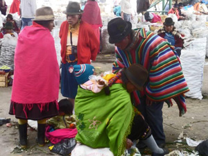 randonnée à cheval Equateur Cotopaxi photo 5