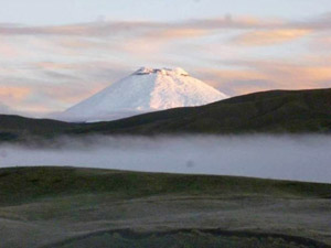 randonnée à cheval equateur cotopaxi l'avenue des volcans - cotopaxi