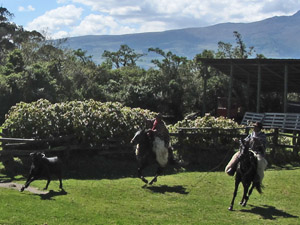 randonnée à cheval Equateur Cotopaxi photo 5