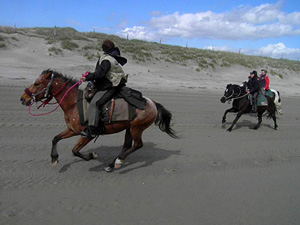 randonnée à cheval france hauts-de-france la baie de somme