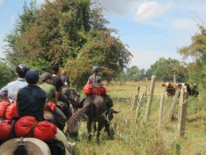 randonnée à cheval France Hauts-de-France photo 2