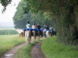 randonnée à cheval France Hauts-de-France photo 5