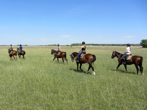 randonnée à cheval Hongrie Csongrad photo 2