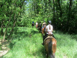 randonnée à cheval Hongrie Csongrad photo 3