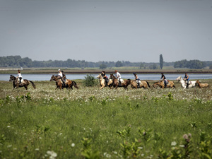 randonnée à cheval Hongrie Bacs-Kiskun photo 2