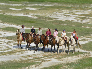 randonnée à cheval Hongrie Bacs-Kiskun photo 4