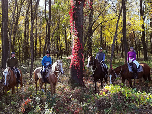 randonnée à cheval Hongrie Csongrad photo 2