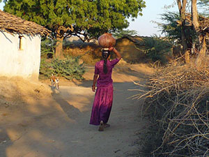 randonnée à cheval Inde Rajasthan photo 4