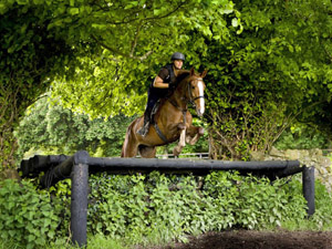 randonnée à cheval Irlande Munster photo 1