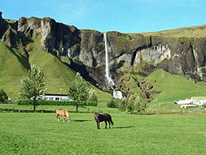 randonnée à cheval Islande Sud-ouest photo 3