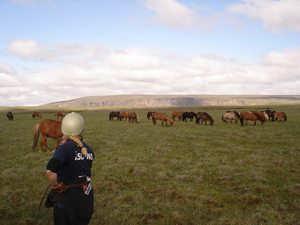 randonnée à cheval Islande Sud-ouest photo 5