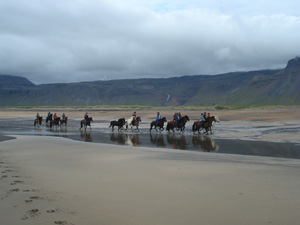 randonnée à cheval Islande Sud-ouest photo 4