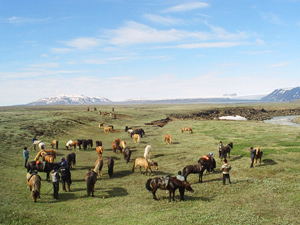 randonnée à cheval Islande Sud photo 2