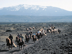 randonnée à cheval Islande Centre photo 4