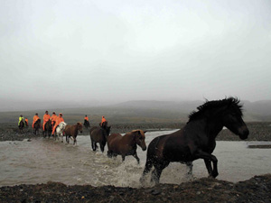 randonnée à cheval Islande Centre photo 6