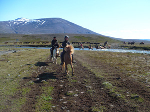 randonnée à cheval Islande Centre photo 1